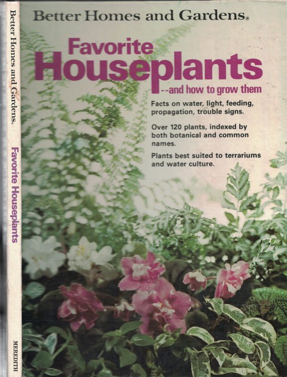 Favorite Houseplants And How To Grow Them