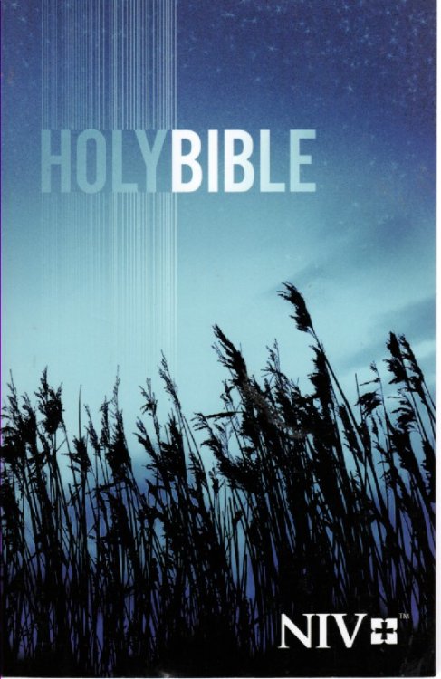 Holy Bible; New International Version