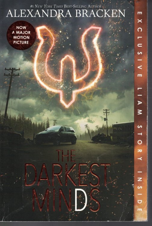 Darkest Minds Book 1