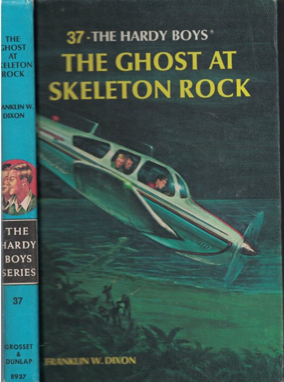 Ghost At Skeleton Rock Book 37
