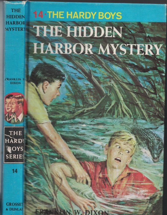 Hidden Harbor Mystery Book 14