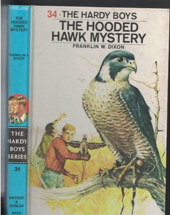 Hooded Hawk Mystery Book 34