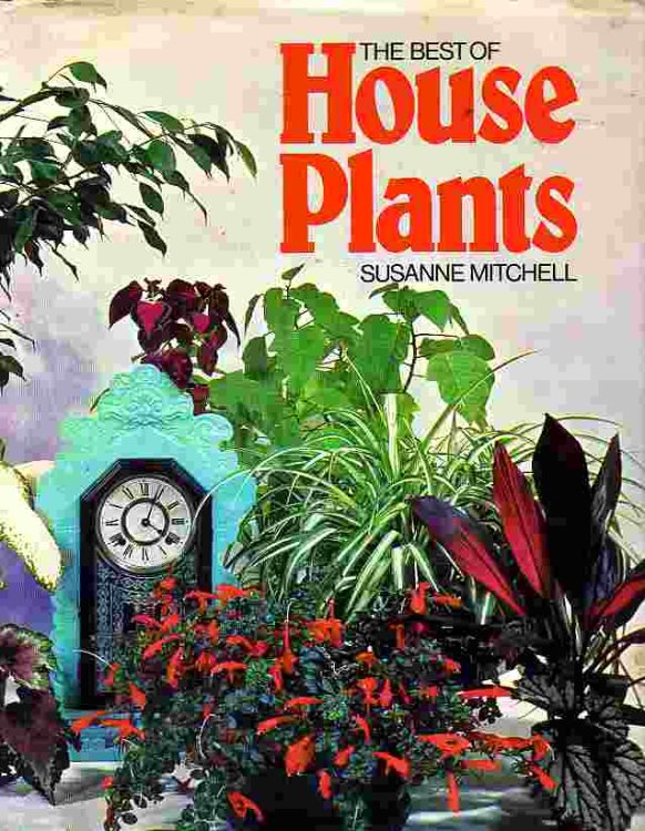 Best Of House Plants
