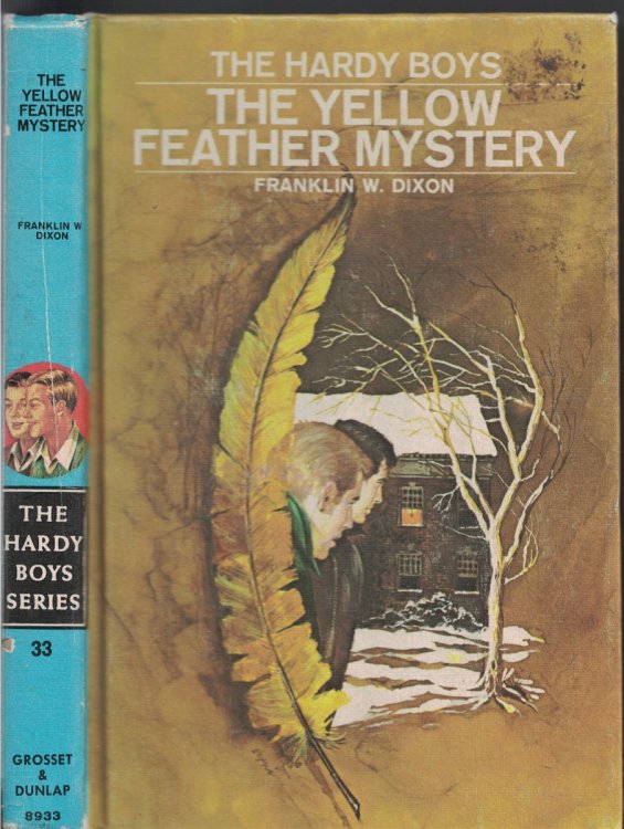 Yellow Feather Mystery Book 33