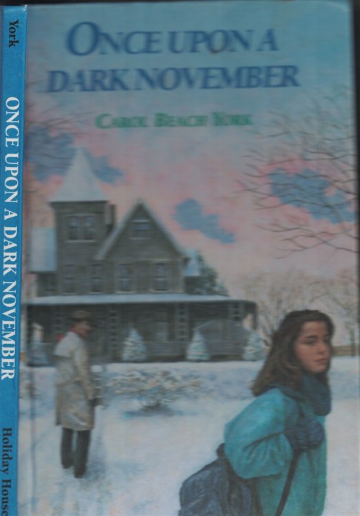 Once Upon A Dark November