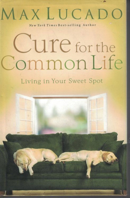 Cure for the Common Life - Living in Your Sweet Spot