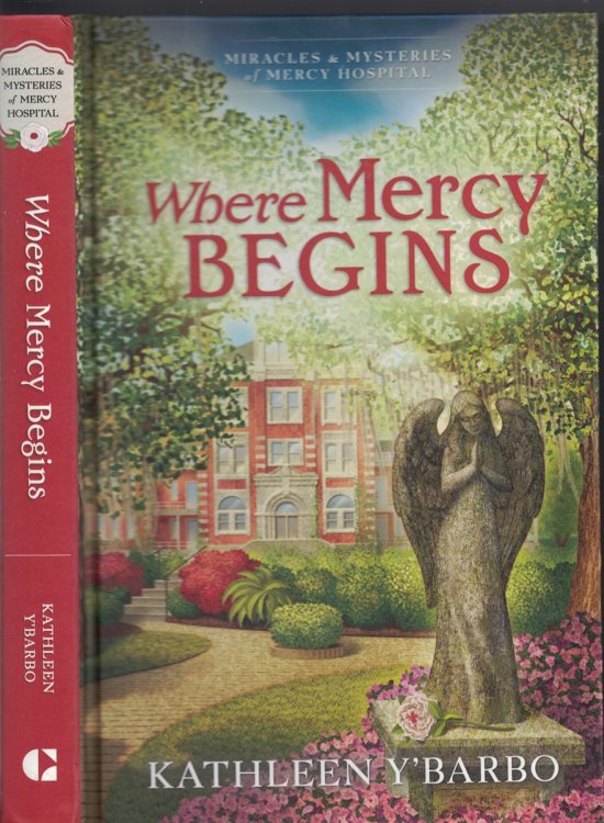 Where Mercy Begins Book 1