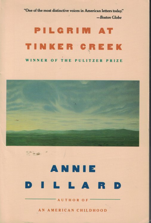 Pilgrim At Tinker Creek