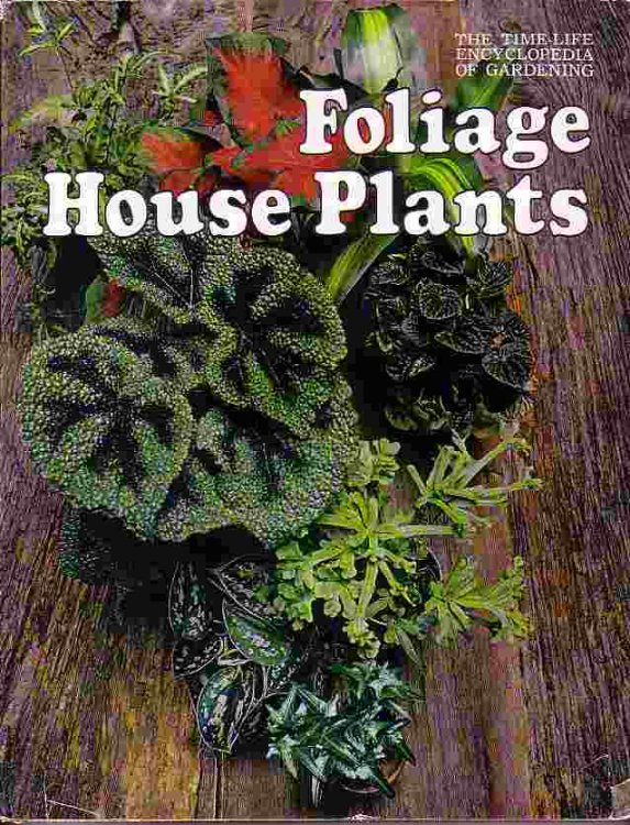 Foliage House Plants
