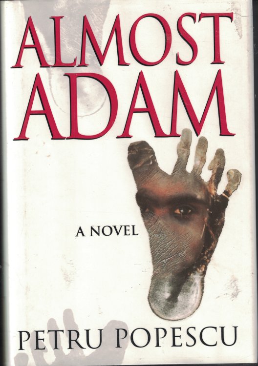 Almost Adam