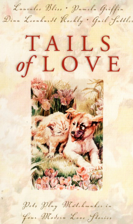 Black Stallion Challenged