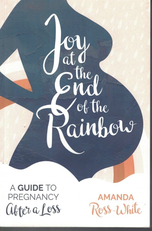 Joy At the End of the Rainbow A Guide to Pregnancy after a Loss