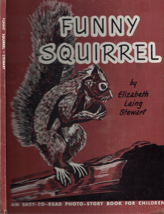 Funny Squirrel easy to read photo story book for children