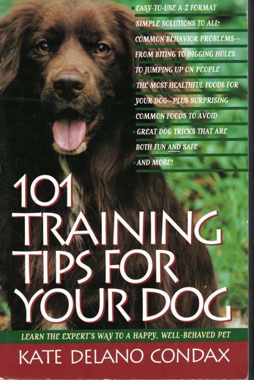 101 Training Tips For Your Dog