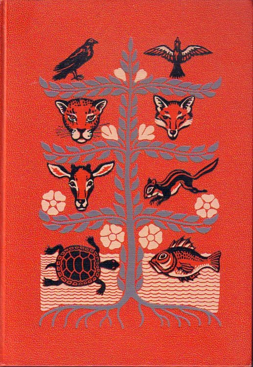 Expolring The World Around Us #7