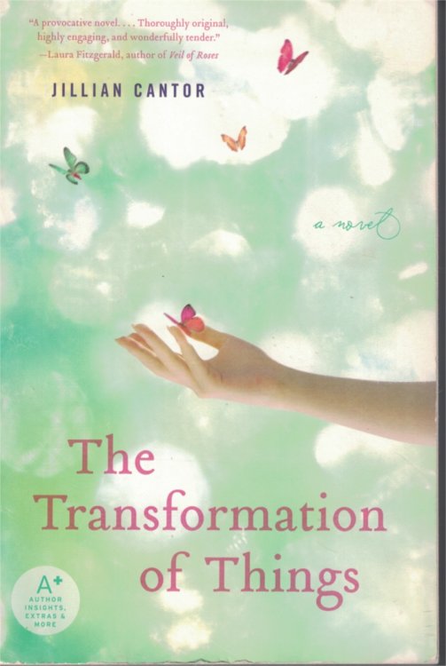 Transformation of Things