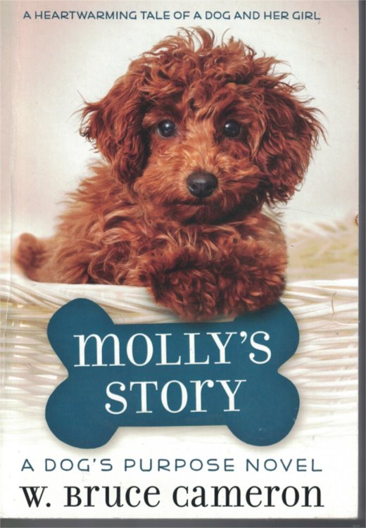 Molly's Story Heartwarming Tale of a Dog and Her Girl