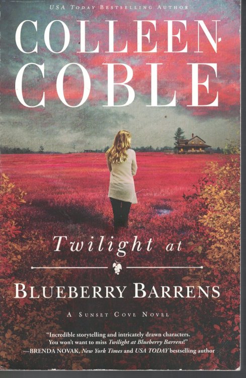 Twilight At Blueberry Barrnes