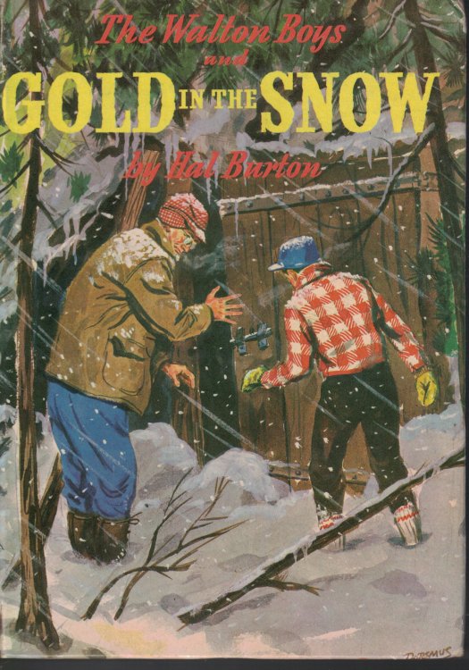 Walton Boys And The Gold In The Snow