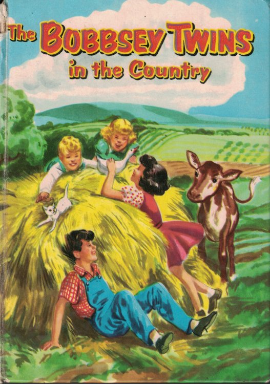 Bobbsey Twins In The Country