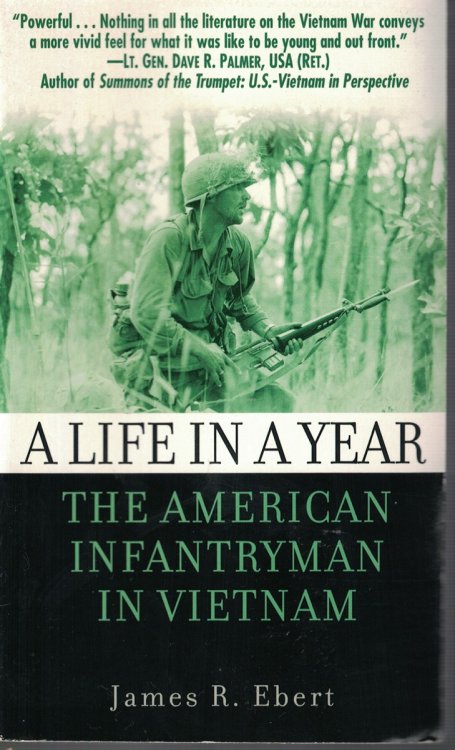 A Life in a Year The American Infantryman in Vietnam