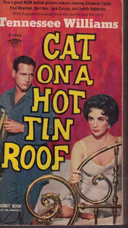 Cat On A Hot Tin Roof