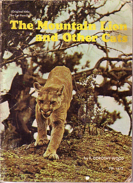 The Mountain Lion And Other Cats