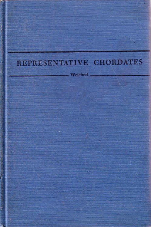Representative Chordates A Manual of Comparative Anatomy