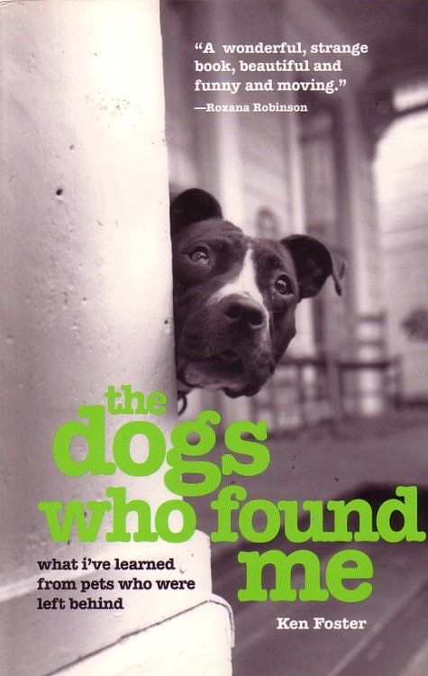 The Dogs Who Found Me What I'Ve Learned from Pets Who Were Left Behind