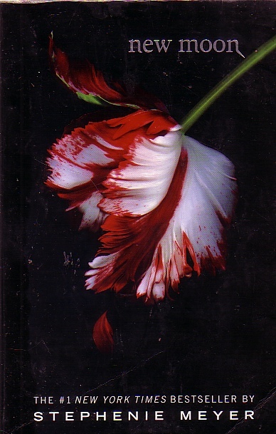 New Moon Book 2