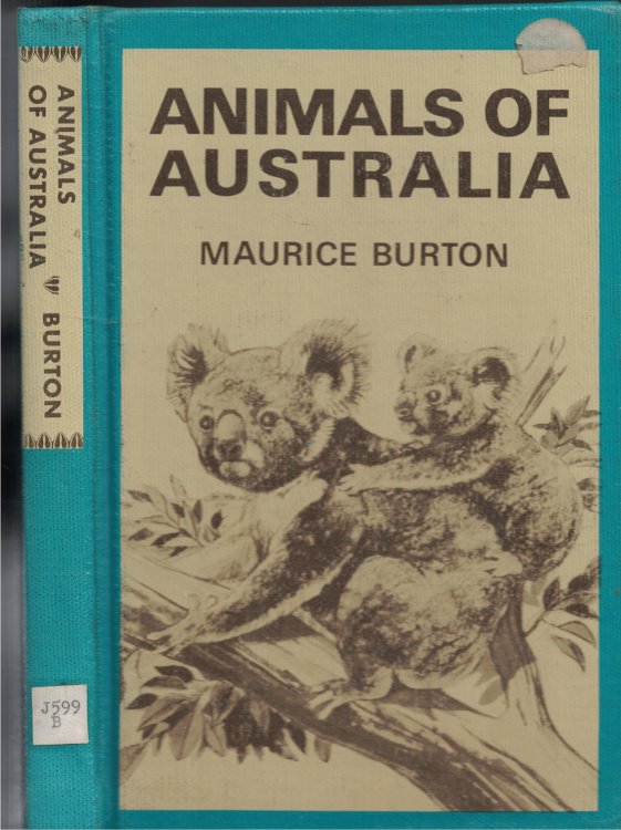 Animanls Of Australia