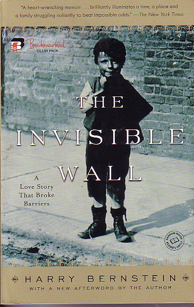 Invisible Wall A Love Story That Broke Barriers