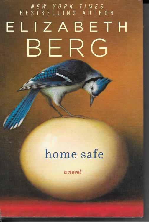 Image for Home Safe Home Safe