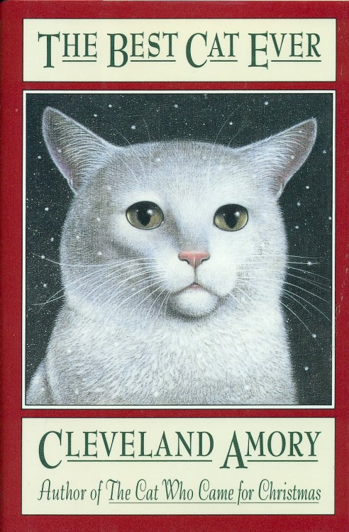 The Best Cat Ever