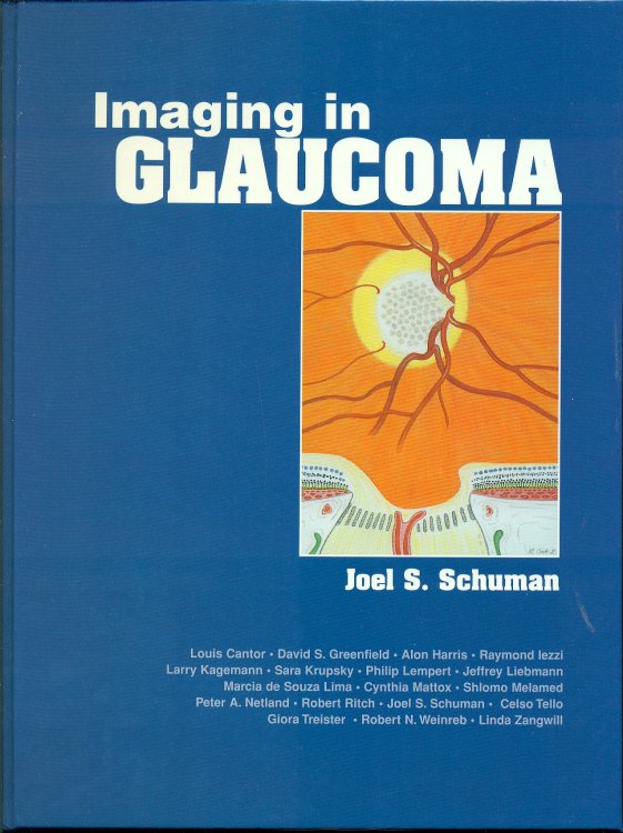 Imaging In Glaucoma
