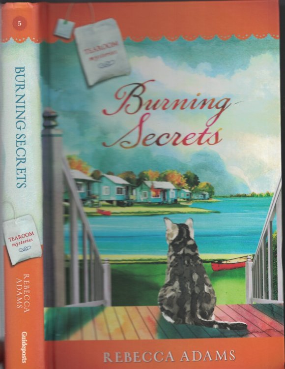 Burning Secrets Book 5