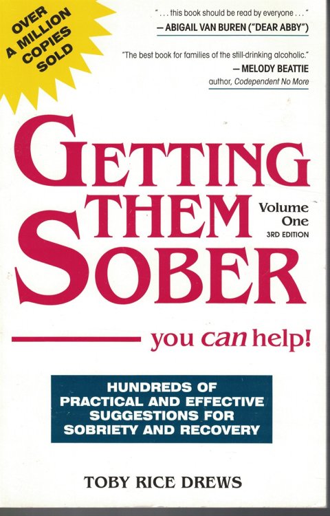 Getting Them Sober you can help - Hundreds of Practical and Efective Suggestions for Sobrierty and Recovery Volume One
