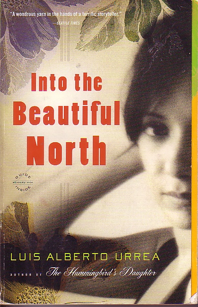 Into The Beautiful North