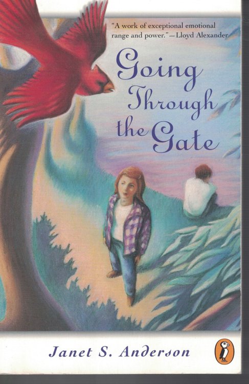 Going Throught the Gate