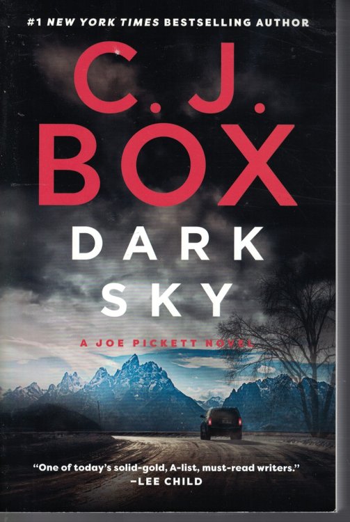 Dark Sky; Book 21