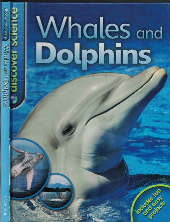 Whales And Dolphins