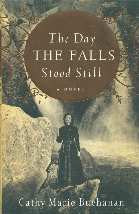 The Day The Falls Stood Still