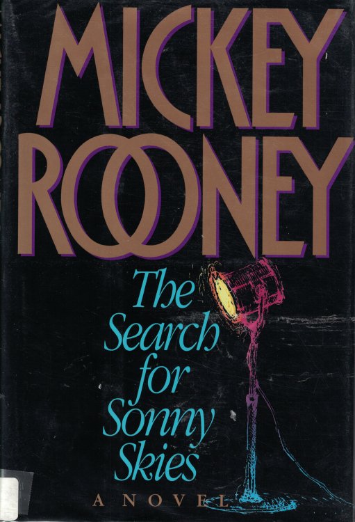 Search For Sonny Skies