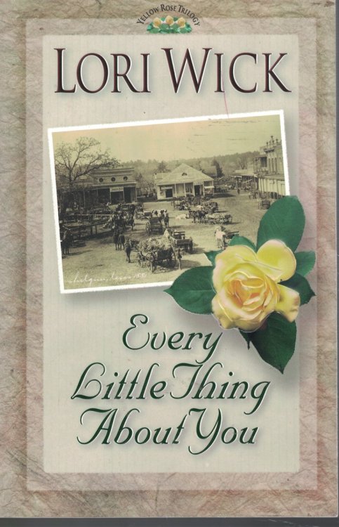 Every Little Thing about You