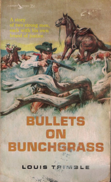 Bullets On Bunchgrass