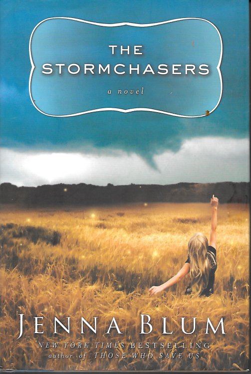 The Stormchasers