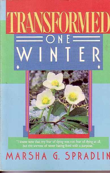 Transformed One Winter