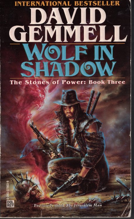 Wolf In Shadow