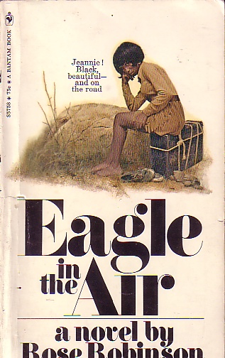 Eagle In The Air