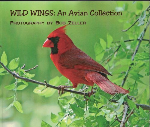 Wild Wings : an Avian Collection